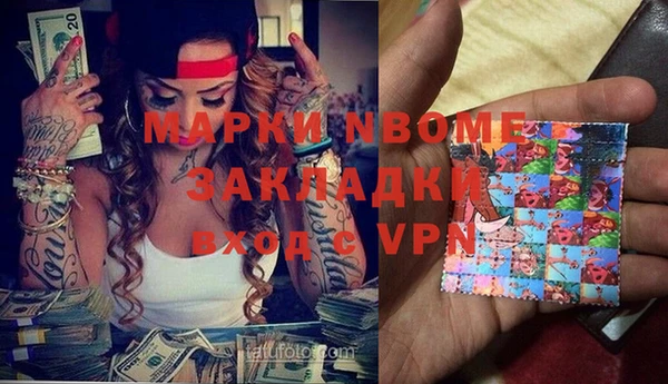 прущие грибы Елабуга