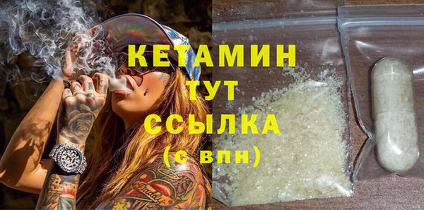 прущие грибы Елабуга