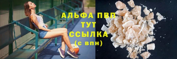 прущие грибы Елабуга