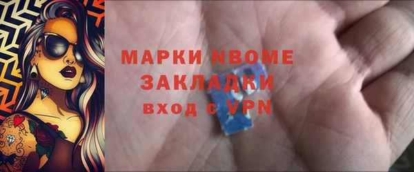 прущие грибы Елабуга