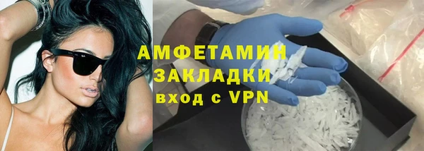 прущие грибы Елабуга