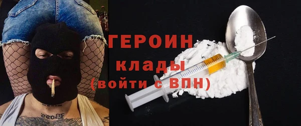 прущие грибы Елабуга