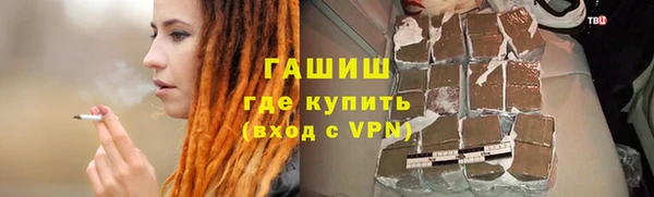 прущие грибы Елабуга