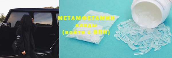 прущие грибы Елабуга