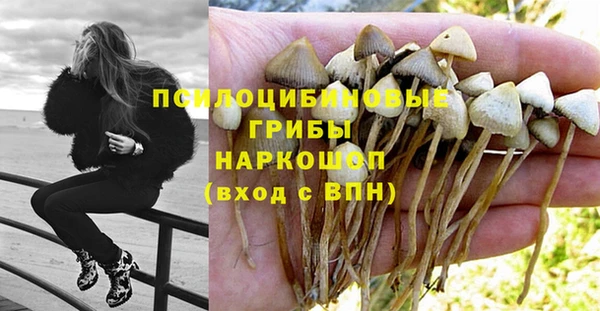 мдма Ельня