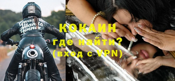 прущие грибы Елабуга