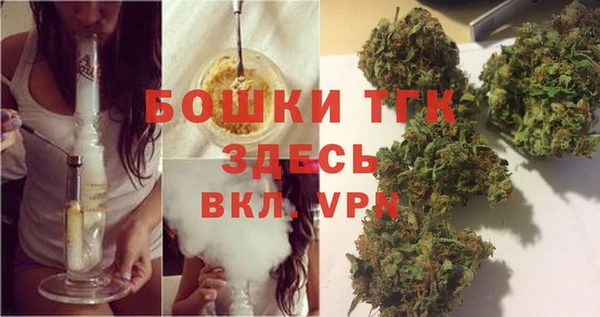 прущие грибы Елабуга