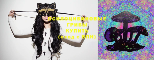 мдма Ельня