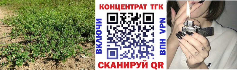 Купить закладки  Питкяранта  Дистиллят ТГК жижа 
