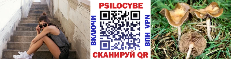 Галлюциногенные грибы мицелий Питкяранта
